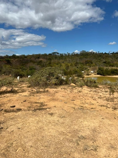 Fazenda à venda 46,49 alq. (225 Ha), em Cabeceira Grande-MG, dupla apt: 6ª foto da galeria de imagens do imóvel