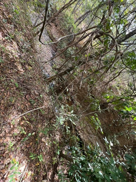 Fazenda à venda 46,49 alq. (225 Ha), em Cabeceira Grande-MG, dupla apt: 2ª foto da galeria de imagens do imóvel