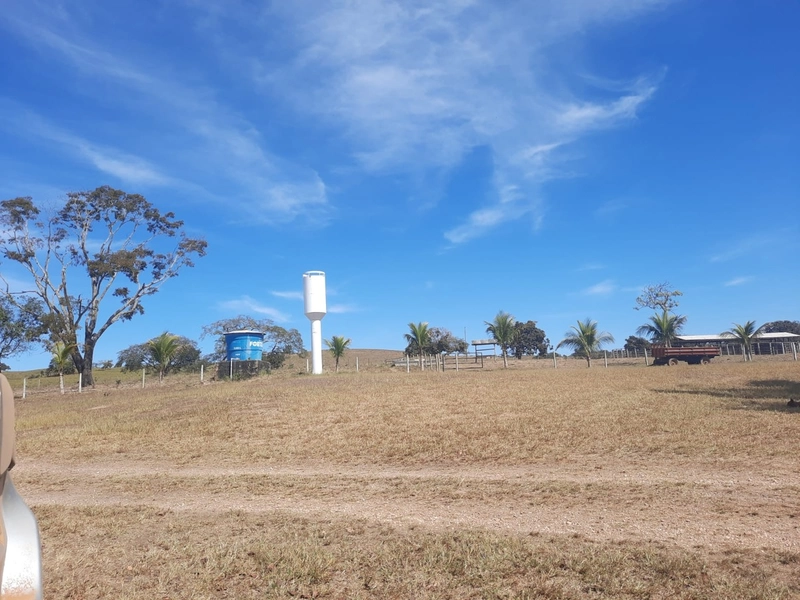Fazenda 870 hectares em Campo Alegre de Goiás-GO: 1ª foto da galeria de imagens do imóvel