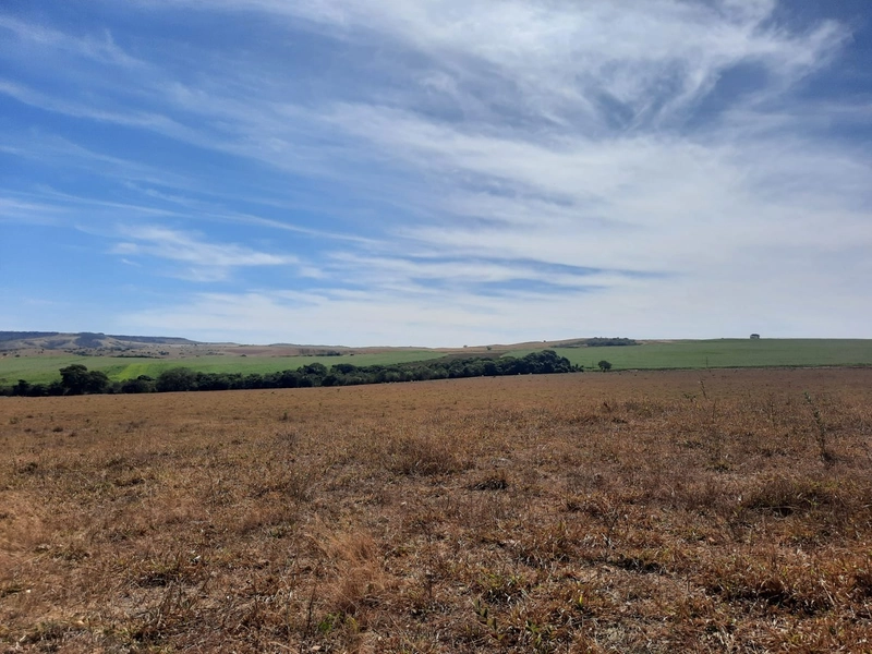 Fazenda 870 hectares em Campo Alegre de Goiás-GO: 14ª foto da galeria de imagens do imóvel