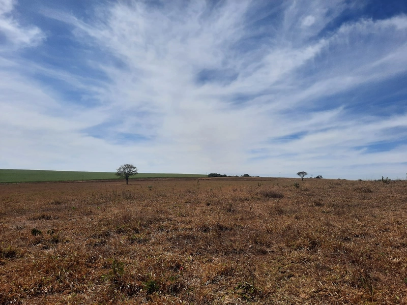 Fazenda 870 hectares em Campo Alegre de Goiás-GO: 13ª foto da galeria de imagens do imóvel