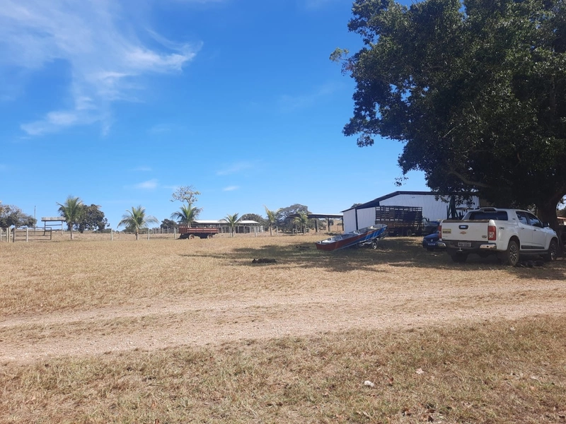 Fazenda 870 hectares em Campo Alegre de Goiás-GO: 11ª foto da galeria de imagens do imóvel