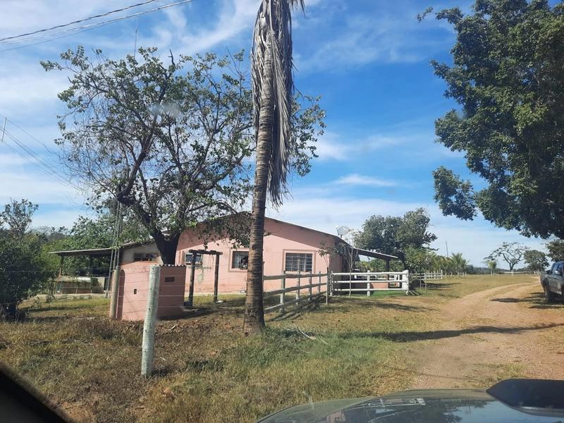 Fazenda 870 hectares em Campo Alegre de Goiás-GO: 7ª foto da galeria de imagens do imóvel