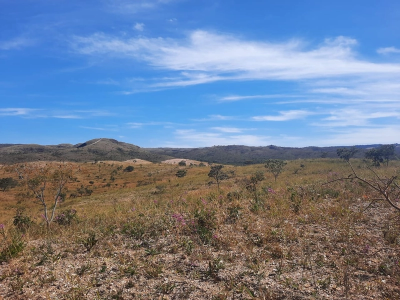 Fazenda 870 hectares em Campo Alegre de Goiás-GO: 19ª foto da galeria de imagens do imóvel