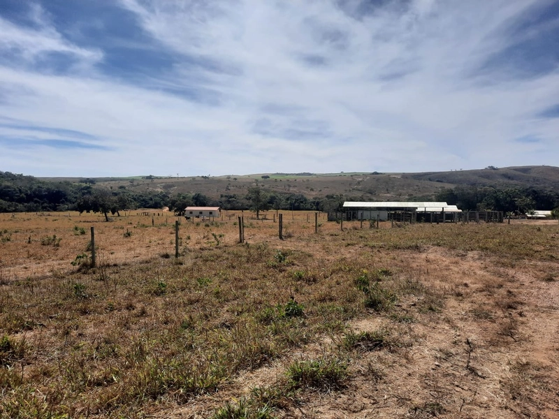 Fazenda 870 hectares em Campo Alegre de Goiás-GO: 18ª foto da galeria de imagens do imóvel