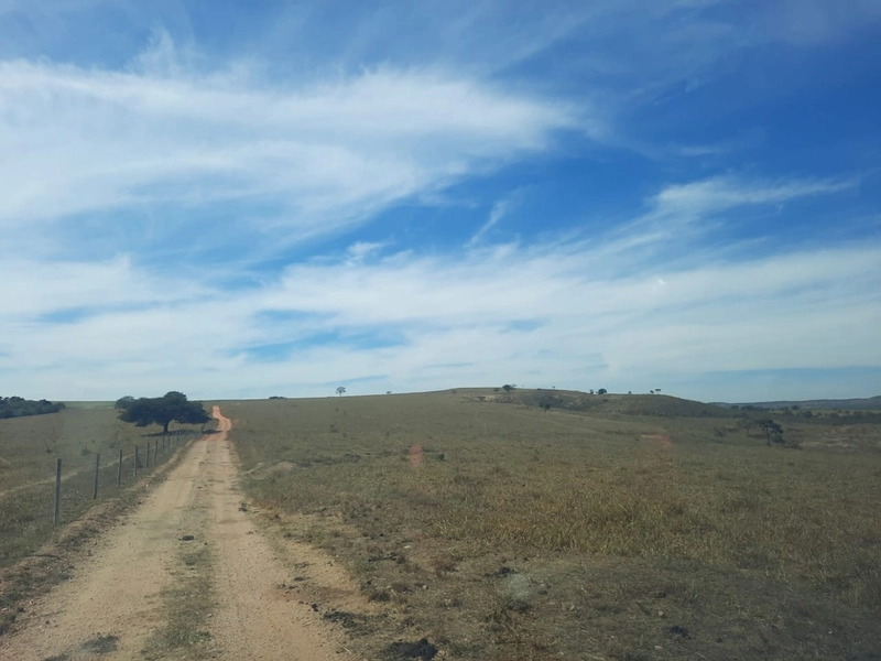 Fazenda 870 hectares em Campo Alegre de Goiás-GO: 17ª foto da galeria de imagens do imóvel