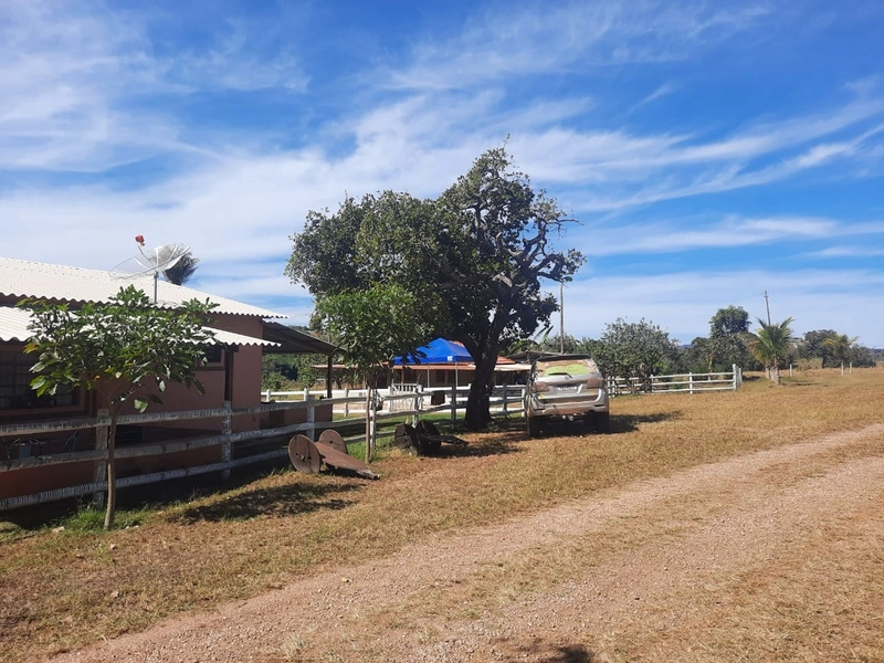 Fazenda 870 hectares em Campo Alegre de Goiás-GO: 10ª foto da galeria de imagens do imóvel