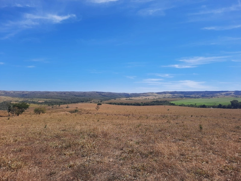 Fazenda 870 hectares em Campo Alegre de Goiás-GO: 15ª foto da galeria de imagens do imóvel
