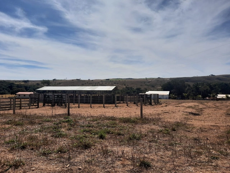Fazenda 870 hectares em Campo Alegre de Goiás-GO: 4ª foto da galeria de imagens do imóvel