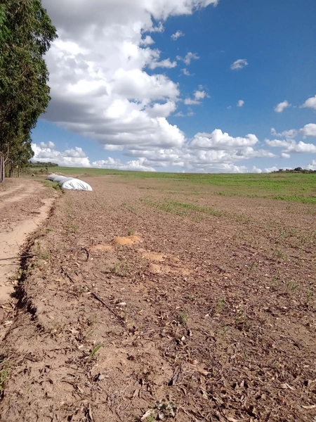 Fazenda para SOJA, 438 ha, plantando 338 ha a 20 anos.: 5ª foto da galeria de imagens do imóvel