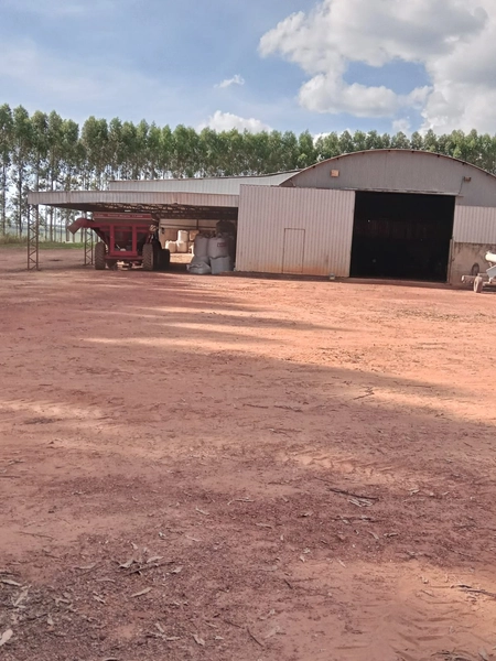 Fazenda para SOJA, 438 ha, plantando 338 ha a 20 anos.: 13ª foto da galeria de imagens do imóvel