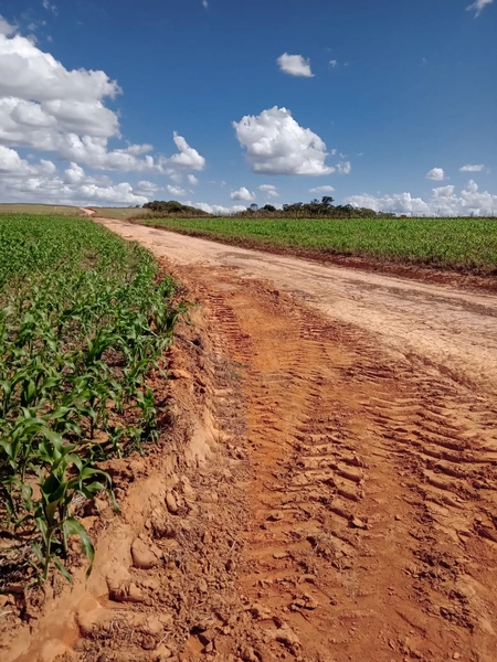 Fazenda para SOJA, 438 ha, plantando 338 ha a 20 anos.: 16ª foto da galeria de imagens do imóvel