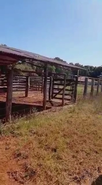Fazenda dupla aptidão em Buritis-MG. Área 270 hectares.: 10ª foto da galeria de imagens do imóvel