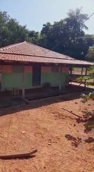 Fazenda dupla aptidão em Buritis-MG. Área 270 hectares.: 4ª foto da galeria de imagens do imóvel