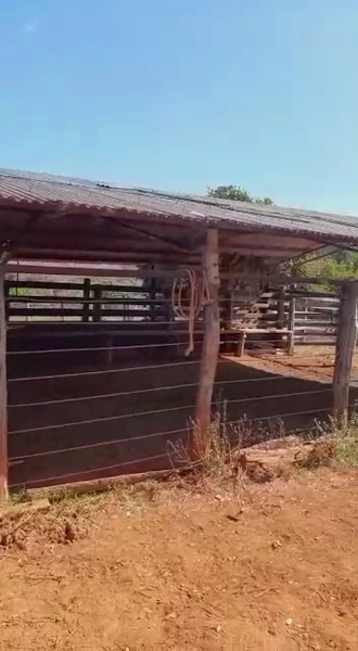 Fazenda dupla aptidão em Buritis-MG. Área 270 hectares.: 9ª foto da galeria de imagens do imóvel