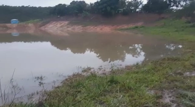 Fazenda 61,36 alqueires(297 Ha),em São J. da Aliança-GO, dupla aptidão: 11ª foto da galeria de imagens do imóvel