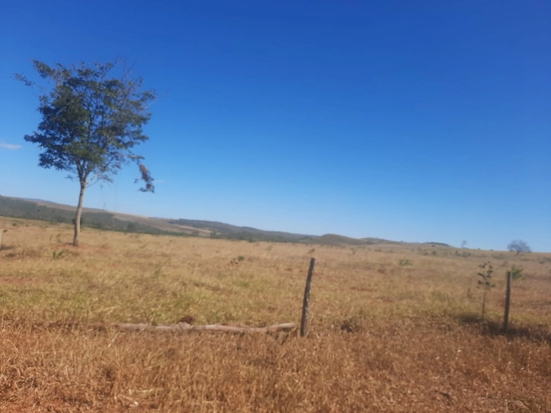 Fazenda 61,36 alqueires(297 Ha),em São J. da Aliança-GO, dupla aptidão: 24ª foto da galeria de imagens do imóvel