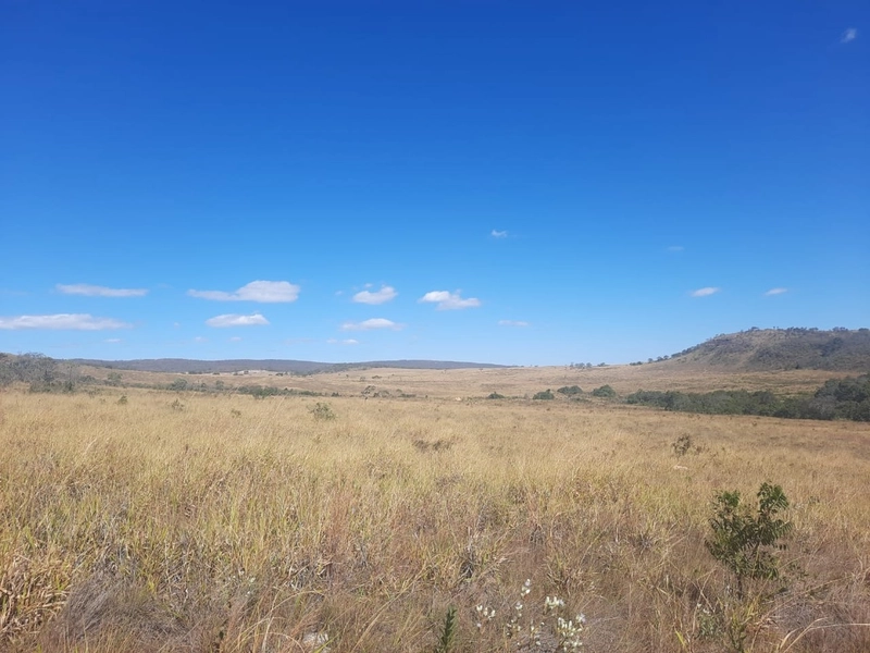 Fazenda 61,36 alqueires(297 Ha),em São J. da Aliança-GO, dupla aptidão: 18ª foto da galeria de imagens do imóvel