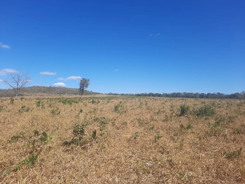 Fazenda 61,36 alqueires(297 Ha),em São J. da Aliança-GO, dupla aptidão: 19ª foto da galeria de imagens do imóvel
