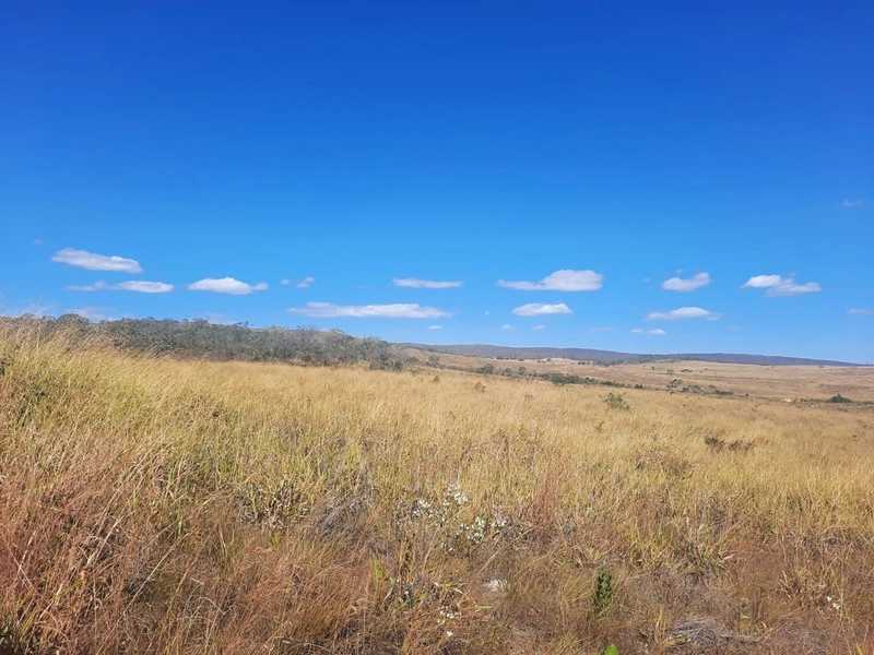 Fazenda 61,36 alqueires(297 Ha),em São J. da Aliança-GO, dupla aptidão: 22ª foto da galeria de imagens do imóvel
