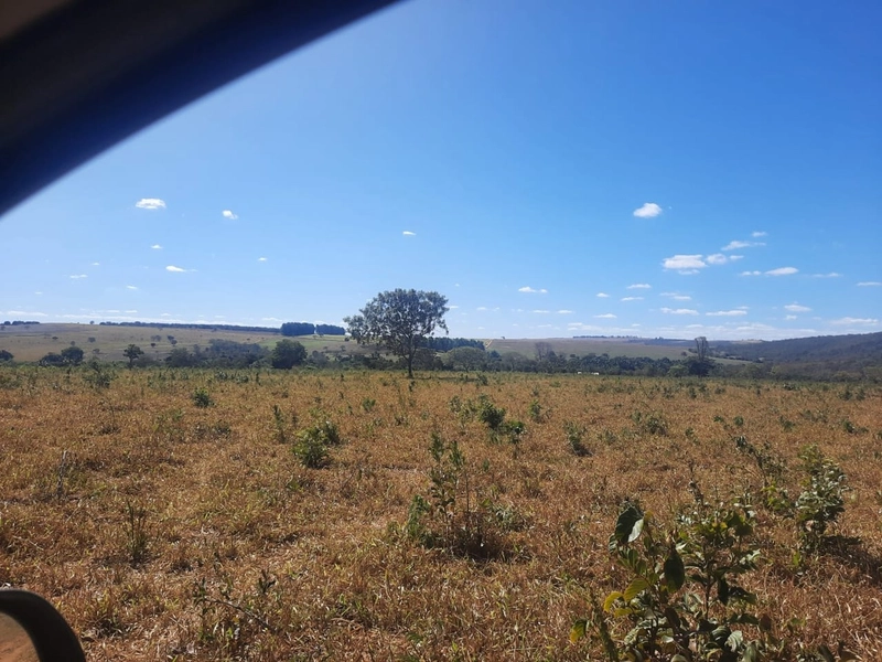 Fazenda 61,36 alqueires(297 Ha),em São J. da Aliança-GO, dupla aptidão: 20ª foto da galeria de imagens do imóvel