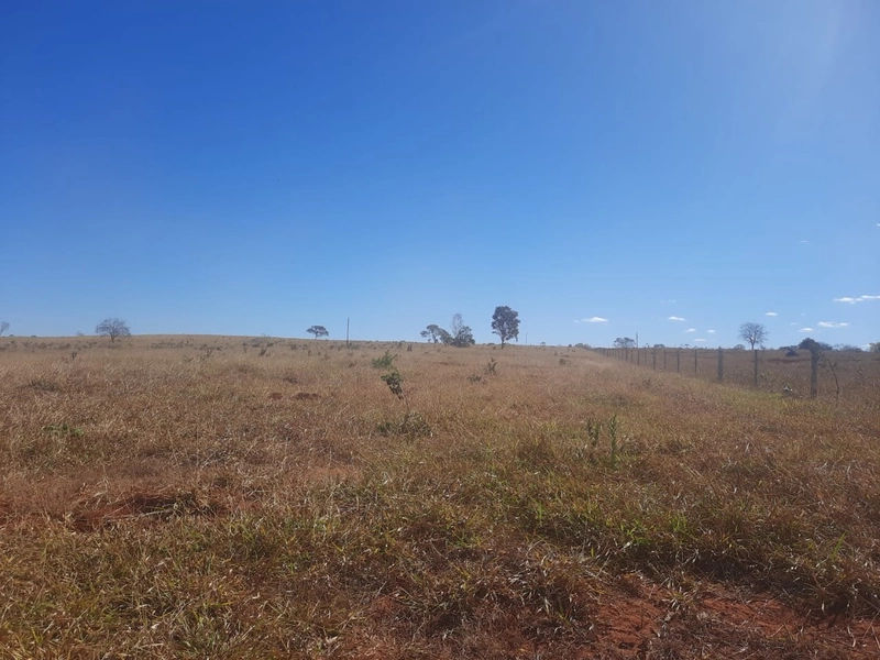 Fazenda 61,36 alqueires(297 Ha),em São J. da Aliança-GO, dupla aptidão: 25ª foto da galeria de imagens do imóvel