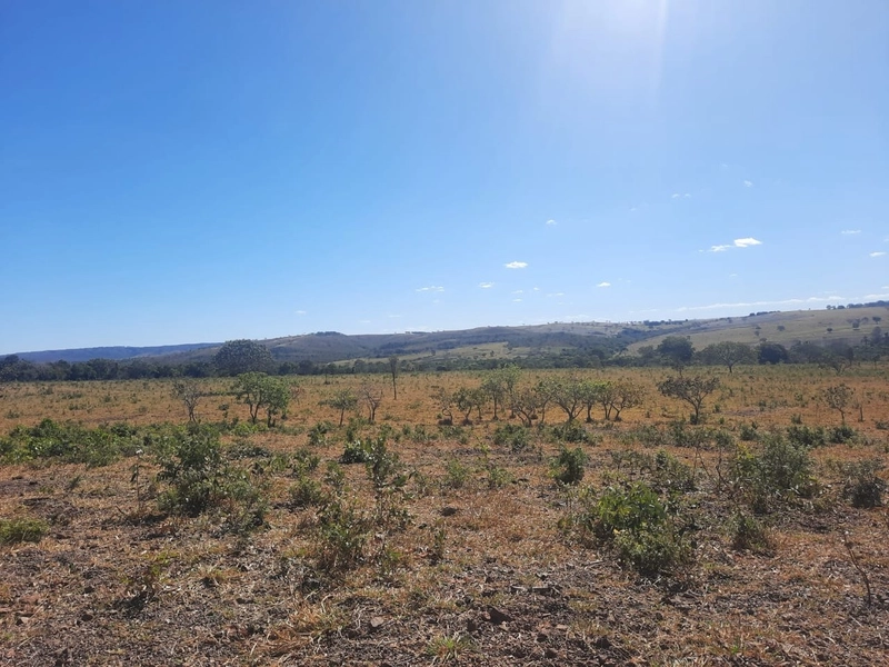 Fazenda 61,36 alqueires(297 Ha),em São J. da Aliança-GO, dupla aptidão: 13ª foto da galeria de imagens do imóvel