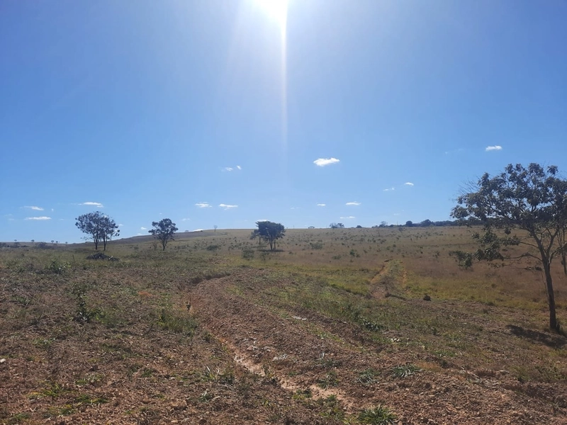 Fazenda 61,36 alqueires(297 Ha),em São J. da Aliança-GO, dupla aptidão: 21ª foto da galeria de imagens do imóvel