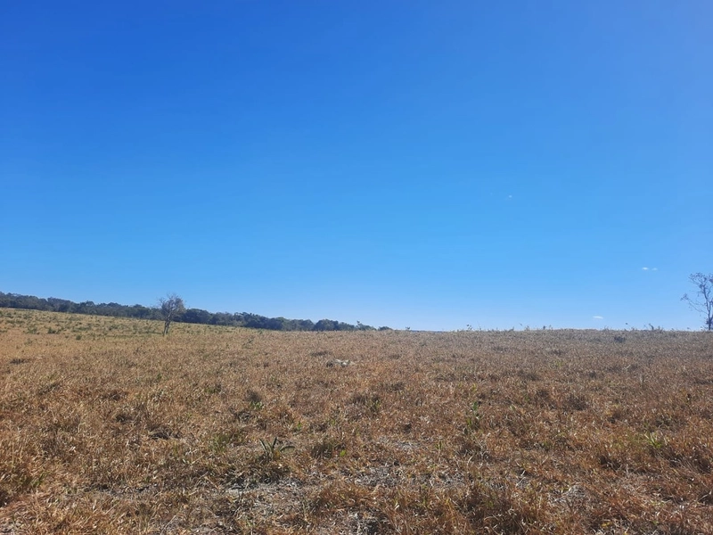 Fazenda 61,36 alqueires(297 Ha),em São J. da Aliança-GO, dupla aptidão: 15ª foto da galeria de imagens do imóvel