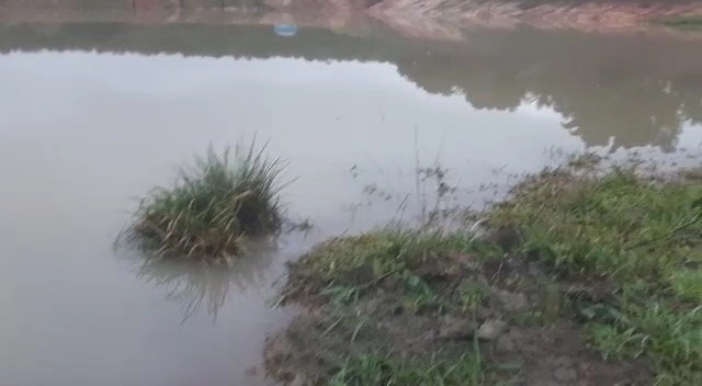 Fazenda 61,36 alqueires(297 Ha),em São J. da Aliança-GO, dupla aptidão: 12ª foto da galeria de imagens do imóvel