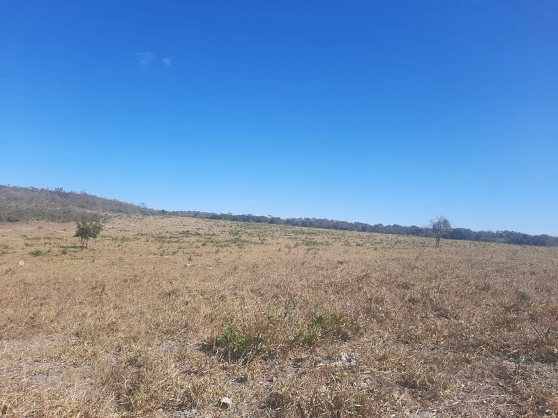Fazenda 61,36 alqueires(297 Ha),em São J. da Aliança-GO, dupla aptidão: 16ª foto da galeria de imagens do imóvel