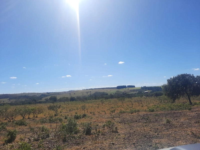 Fazenda 61,36 alqueires(297 Ha),em São J. da Aliança-GO, dupla aptidão: 17ª foto da galeria de imagens do imóvel