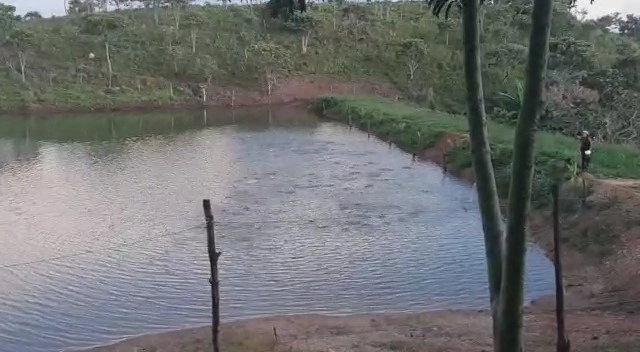 Fazenda 61,36 alqueires(297 Ha),em São J. da Aliança-GO, dupla aptidão: 3ª foto da galeria de imagens do imóvel