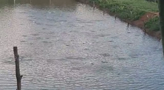 Fazenda 61,36 alqueires(297 Ha),em São J. da Aliança-GO, dupla aptidão: 5ª foto da galeria de imagens do imóvel