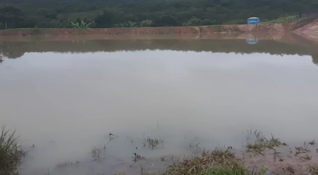Fazenda 61,36 alqueires(297 Ha),em São J. da Aliança-GO, dupla aptidão: 14ª foto da galeria de imagens do imóvel