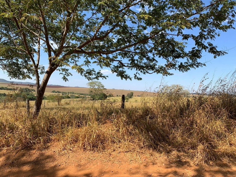 Fazenda 333 alqueires (1.611 Ha), em Inhumas-GO e Itauçú-GO, para soja: 5ª foto da galeria de imagens do imóvel