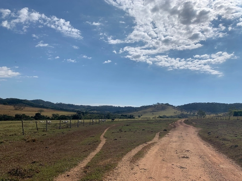 Fazenda 333 alqueires (1.611 Ha), em Inhumas-GO e Itauçú-GO, para soja: 10ª foto da galeria de imagens do imóvel