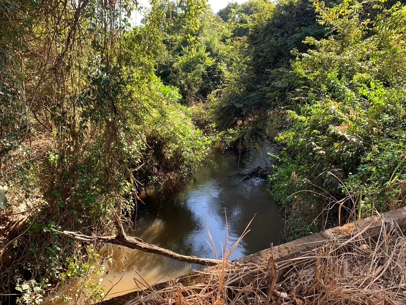 Fazenda 333 alqueires (1.611 Ha), em Inhumas-GO e Itauçú-GO, para soja: 13ª foto da galeria de imagens do imóvel
