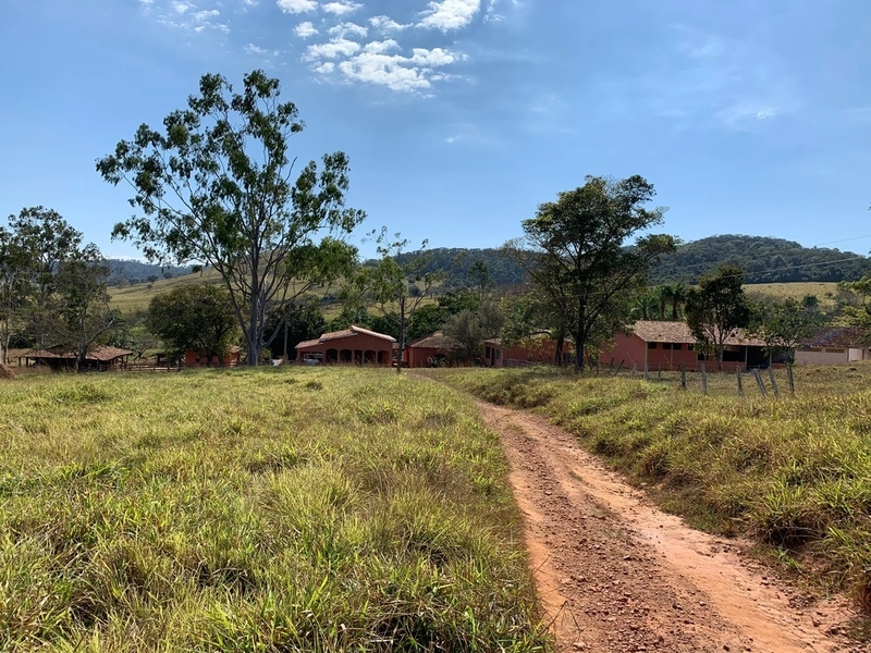 Fazenda 333 alqueires (1.611 Ha), em Inhumas-GO e Itauçú-GO, para soja: 6ª foto da galeria de imagens do imóvel