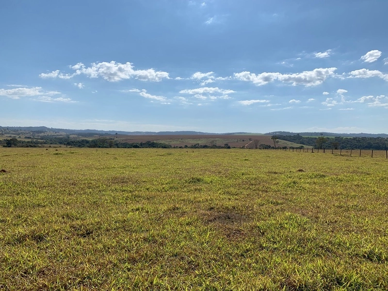 Fazenda 333 alqueires (1.611 Ha), em Inhumas-GO e Itauçú-GO, para soja: 12ª foto da galeria de imagens do imóvel