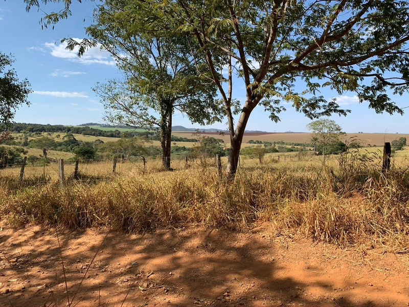 Fazenda 333 alqueires (1.611 Ha), em Inhumas-GO e Itauçú-GO, para soja: 4ª foto da galeria de imagens do imóvel