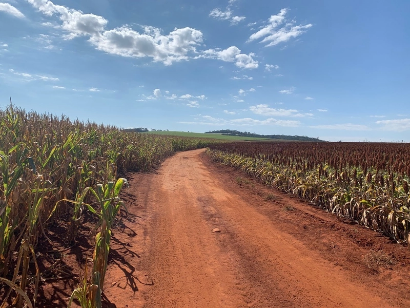 Fazenda 333 alqueires (1.611 Ha), em Inhumas-GO e Itauçú-GO, para soja: 7ª foto da galeria de imagens do imóvel