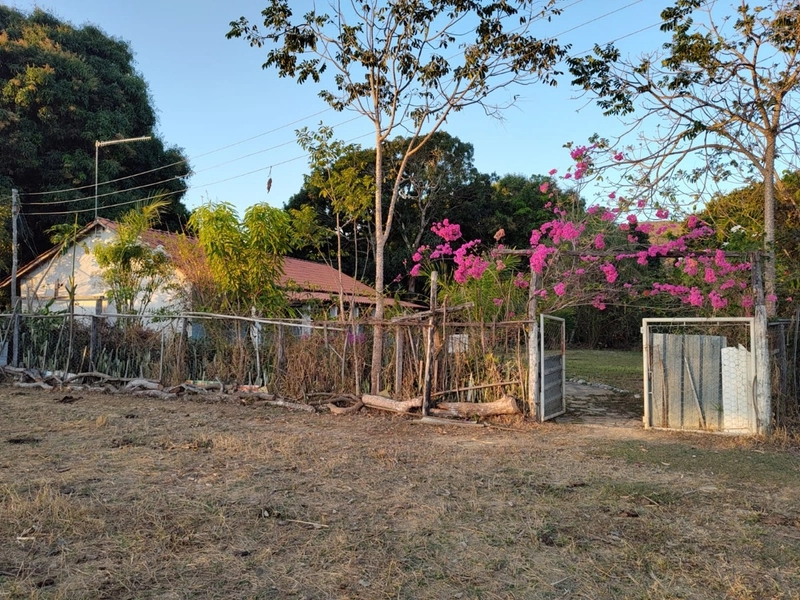 Fazenda à venda 34 alqueires (164 Ha), em Buritis-MG, dupla aptidão.: 13ª foto da galeria de imagens do imóvel