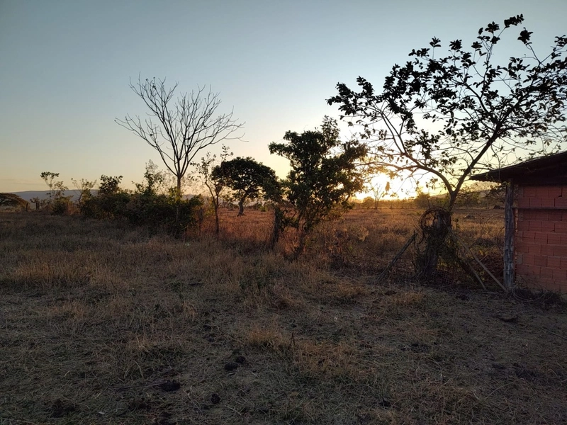 Fazenda à venda 34 alqueires (164 Ha), em Buritis-MG, dupla aptidão.: 15ª foto da galeria de imagens do imóvel