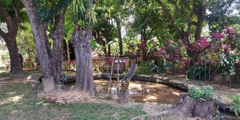 Fazenda à venda 34 alqueires (164 Ha), em Buritis-MG, dupla aptidão.: 9ª foto da galeria de imagens do imóvel