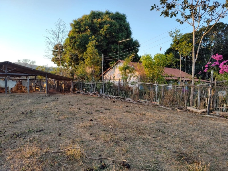 Fazenda à venda 34 alqueires (164 Ha), em Buritis-MG, dupla aptidão.: 17ª foto da galeria de imagens do imóvel