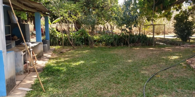 Fazenda à venda 34 alqueires (164 Ha), em Buritis-MG, dupla aptidão.: 7ª foto da galeria de imagens do imóvel