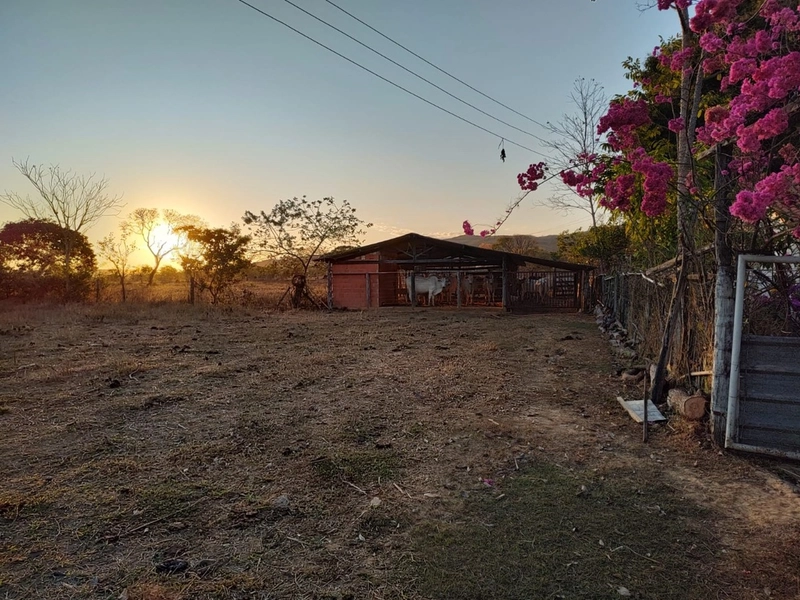 Fazenda à venda 34 alqueires (164 Ha), em Buritis-MG, dupla aptidão.: 14ª foto da galeria de imagens do imóvel