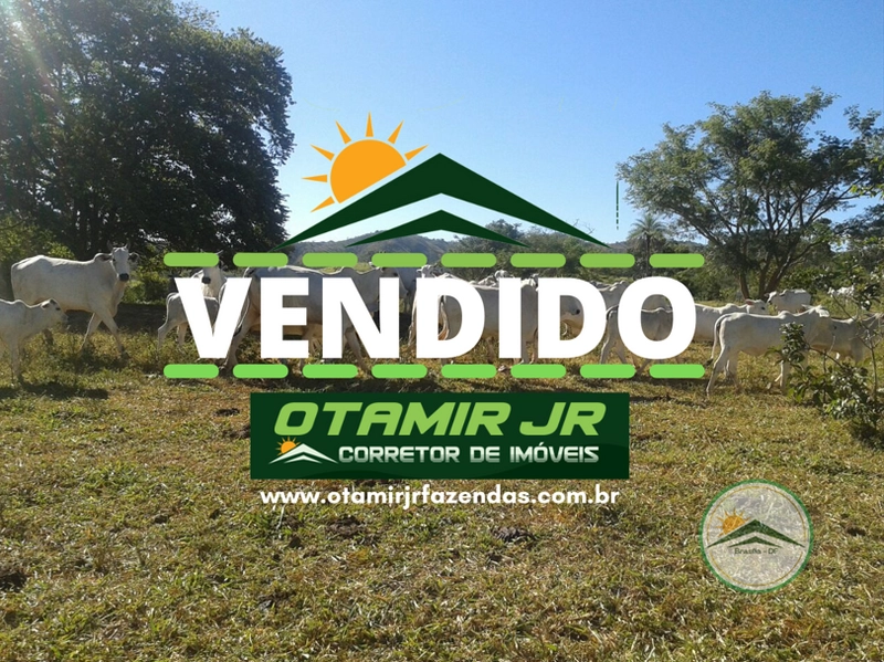 Fazenda à venda 388 alq(1.880 Ha),Formoso do Araguaia-TO,dupla aptidão: 2ª foto da galeria de imagens do imóvel