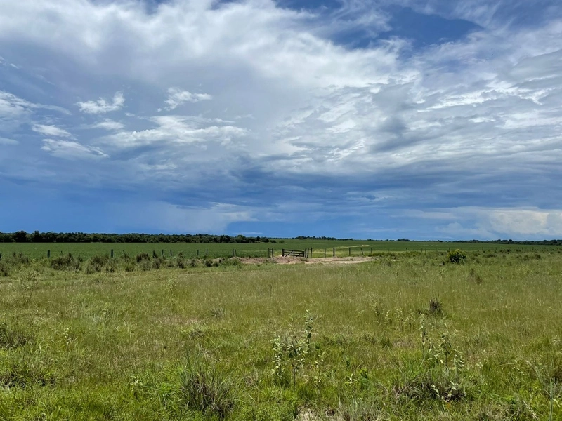 Fazenda à venda 388 alq(1.880 Ha),Formoso do Araguaia-TO,dupla aptidão: 3ª foto da galeria de imagens do imóvel